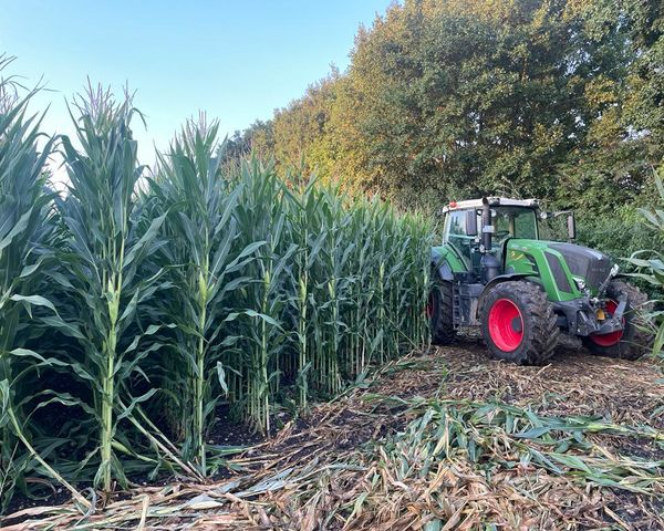 Winzerhof Hintereck Traktor